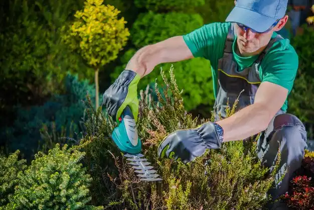 landscaping services Walton